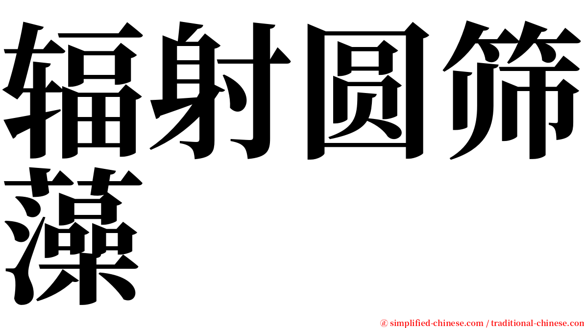 辐射圆筛藻 serif font