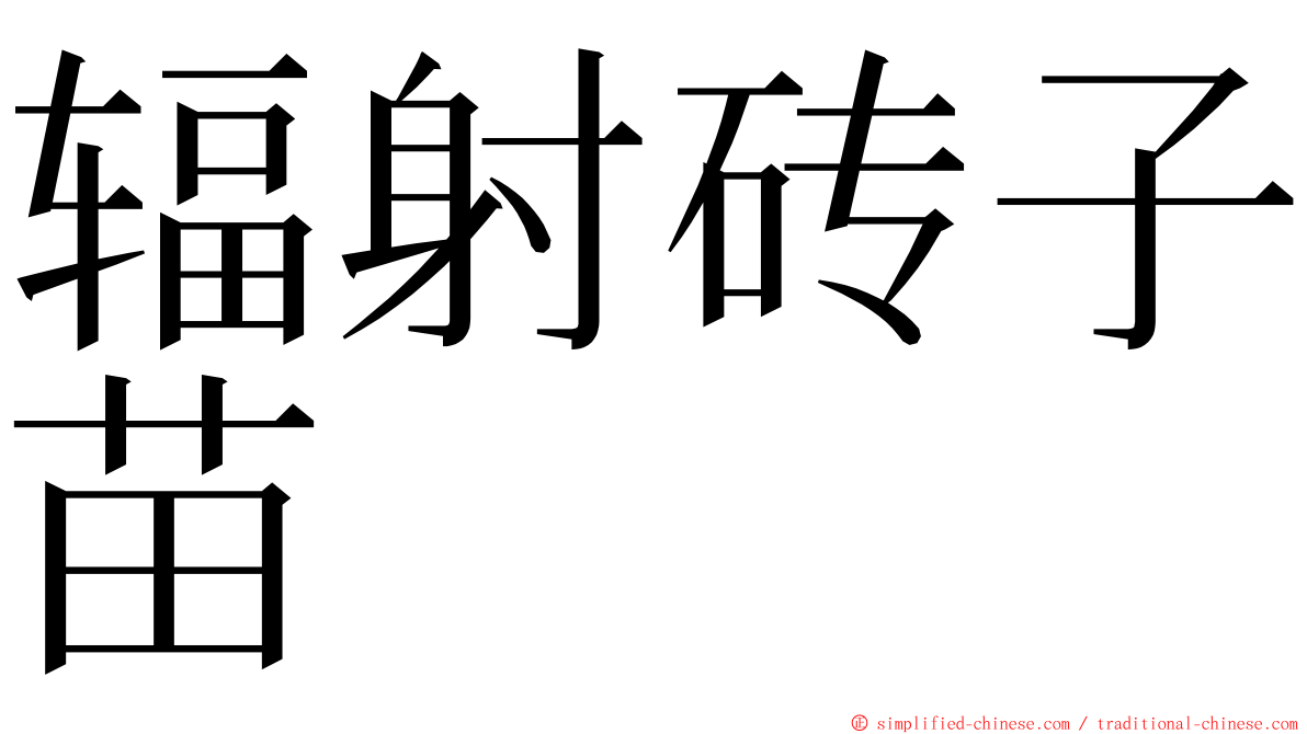 辐射砖子苗 ming font