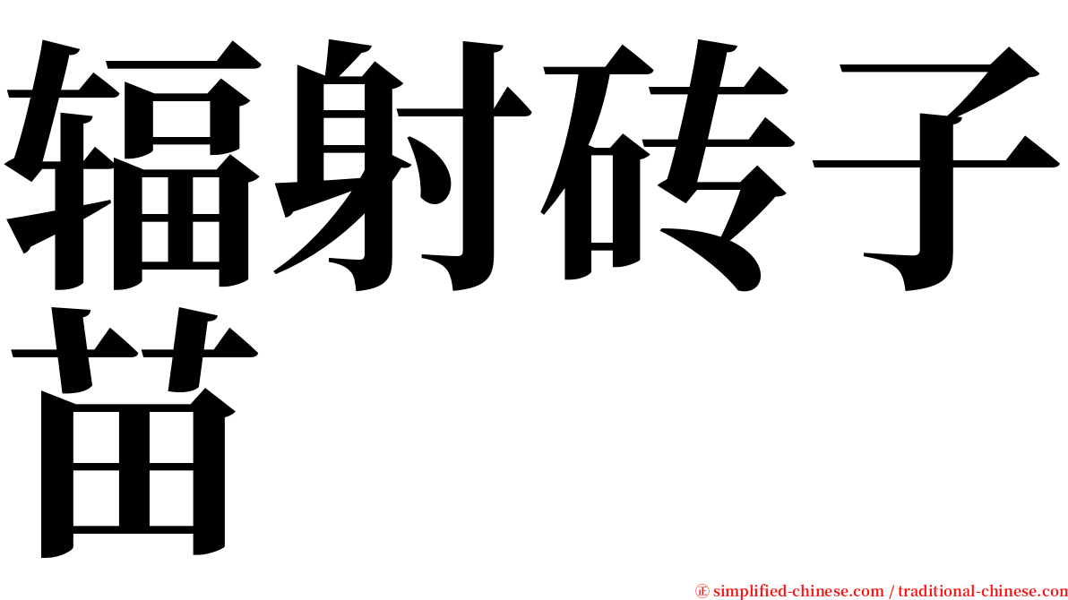 辐射砖子苗 serif font