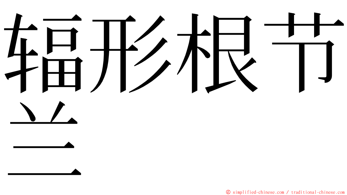 辐形根节兰 ming font