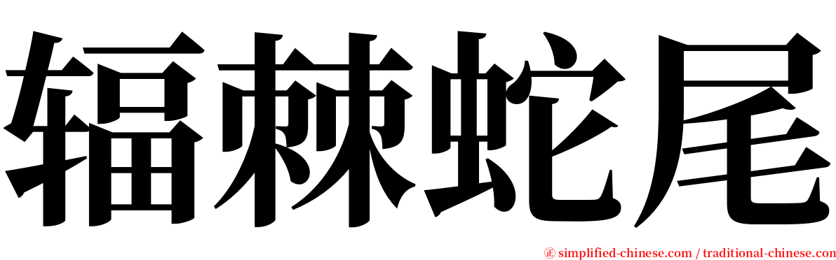 辐棘蛇尾 serif font