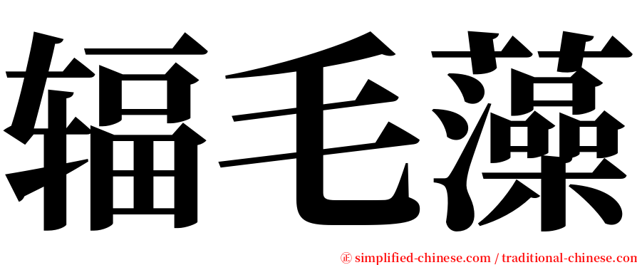 辐毛藻 serif font