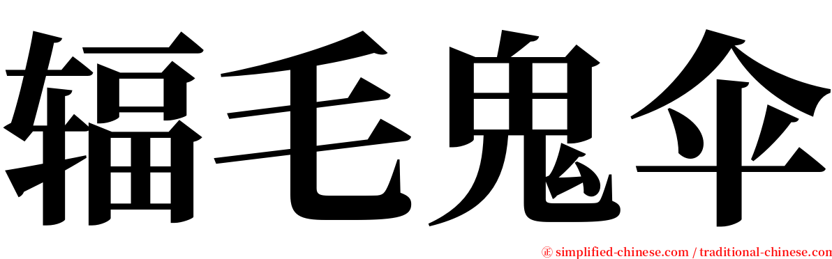 辐毛鬼伞 serif font