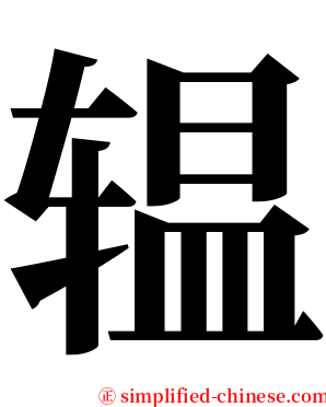 辒 serif font