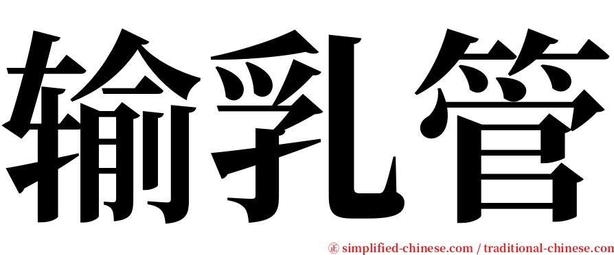 输乳管 serif font