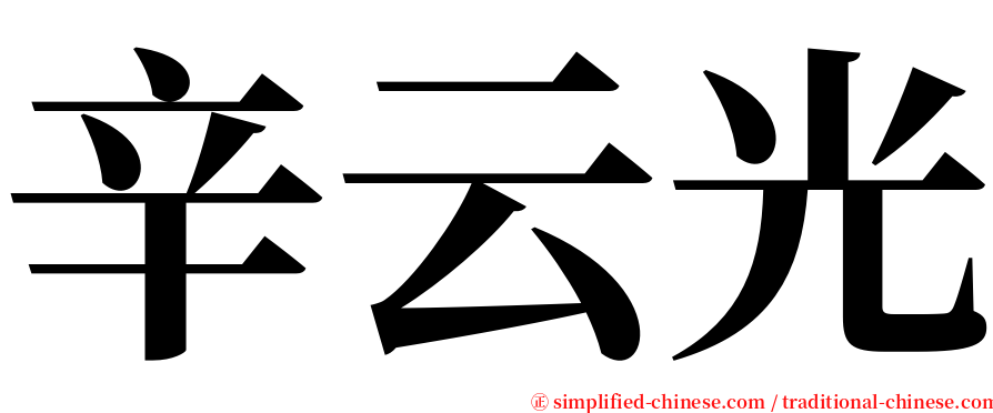 辛云光 serif font