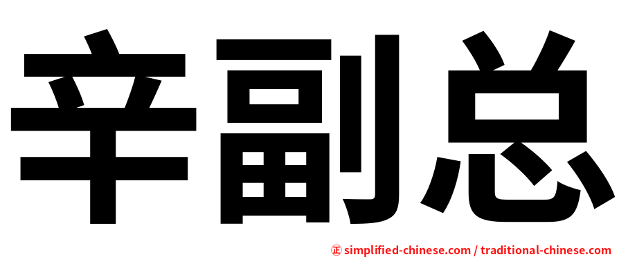 辛副总
