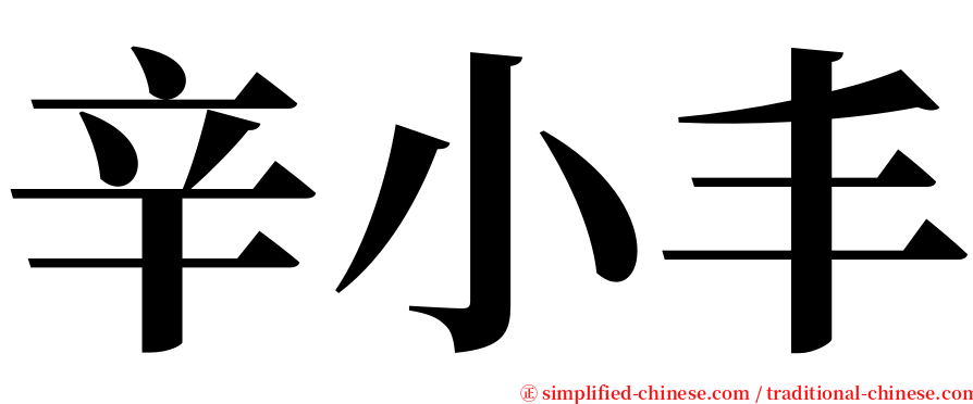 辛小丰 serif font
