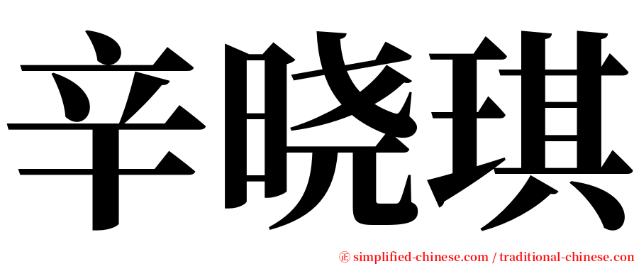 辛晓琪 serif font
