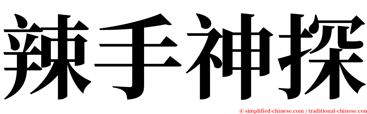 辣手神探 serif font