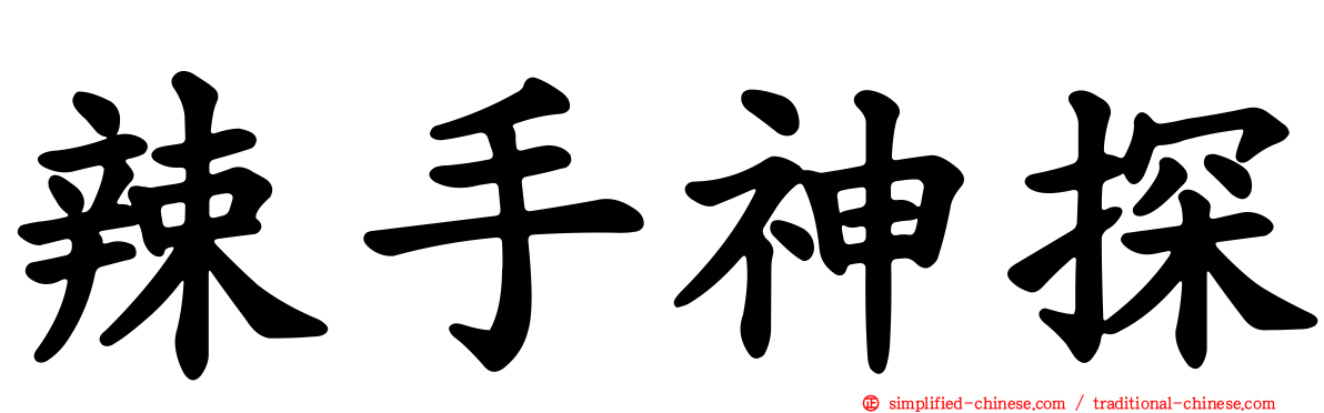 辣手神探