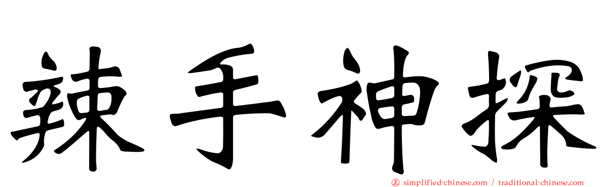 辣手神探