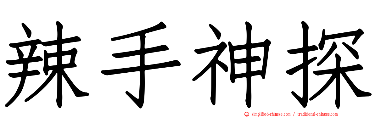 辣手神探
