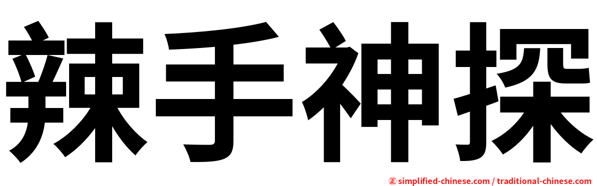 辣手神探