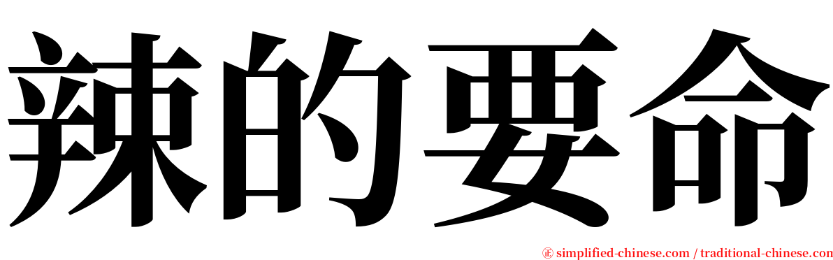 辣的要命 serif font