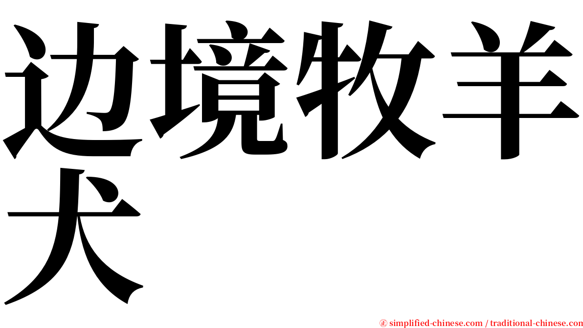 边境牧羊犬 serif font