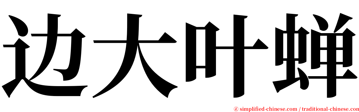 边大叶蝉 serif font