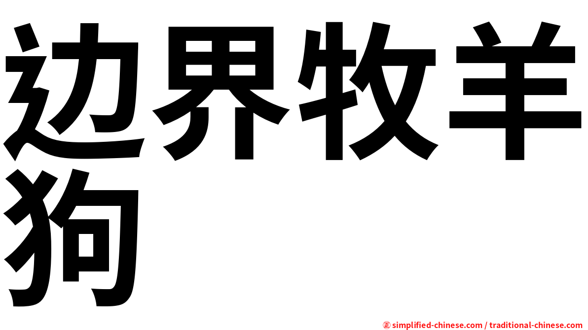 边界牧羊狗