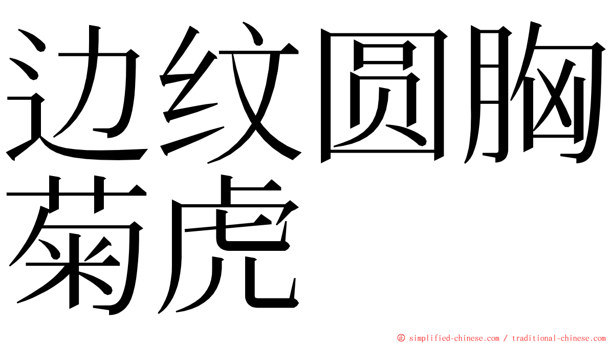 边纹圆胸菊虎 ming font
