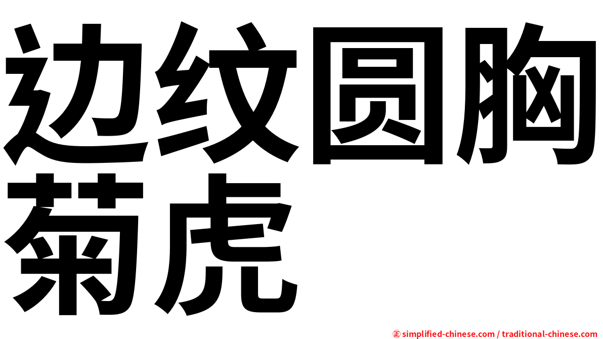 边纹圆胸菊虎