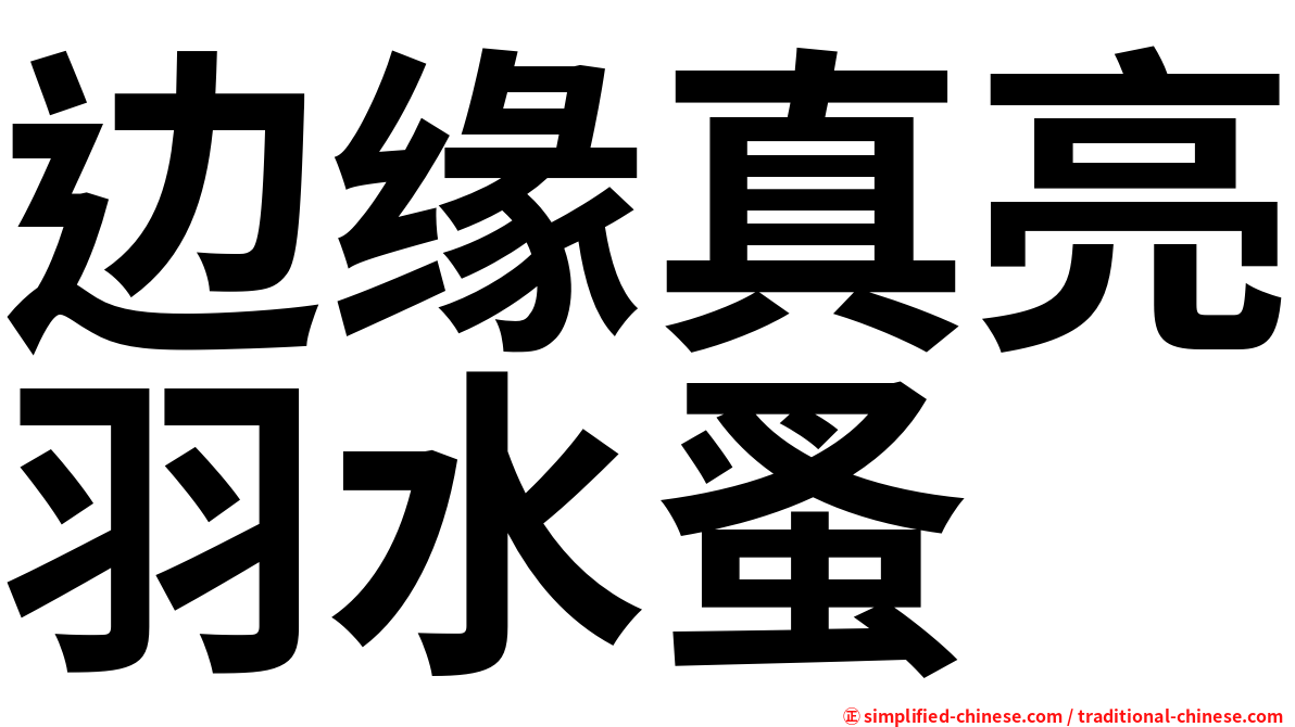 边缘真亮羽水蚤