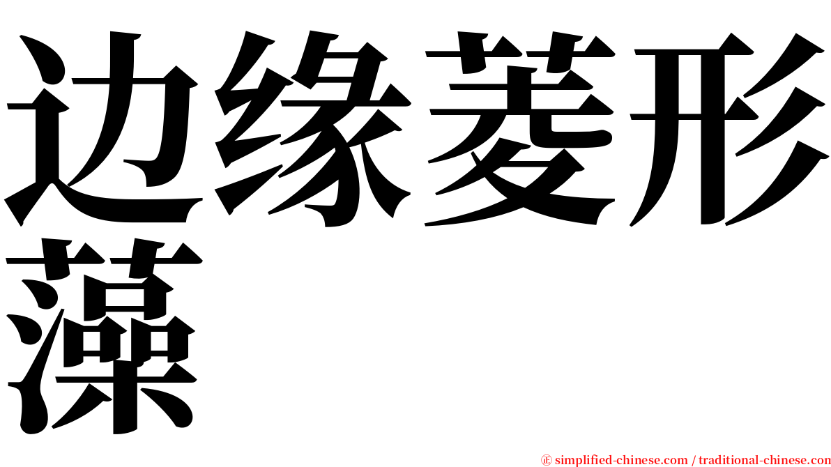 边缘菱形藻 serif font