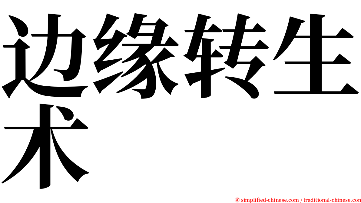 边缘转生术 serif font