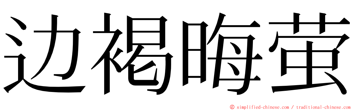边褐晦萤 ming font
