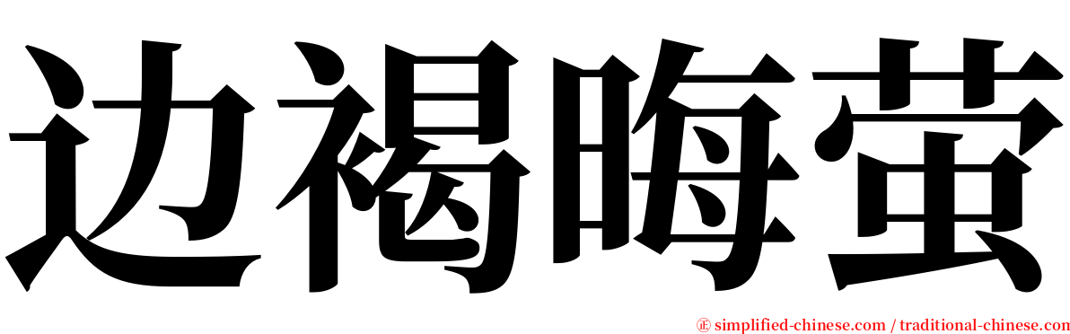 边褐晦萤 serif font