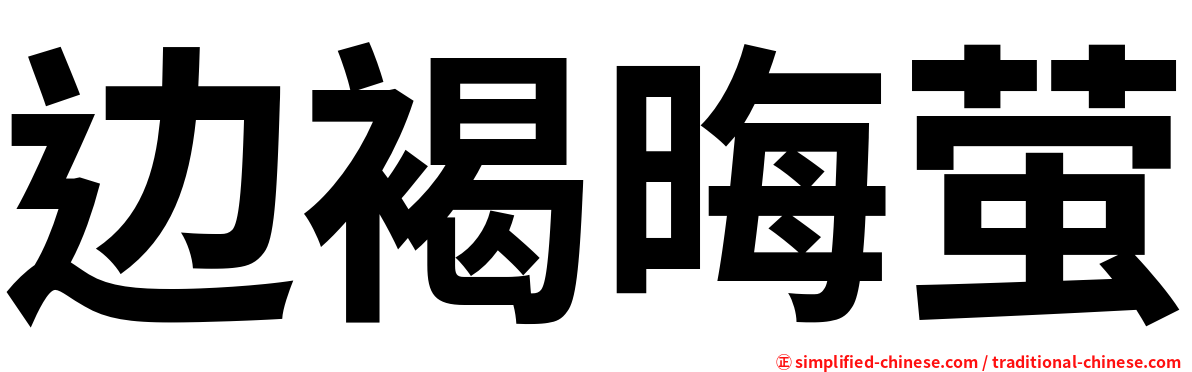 边褐晦萤