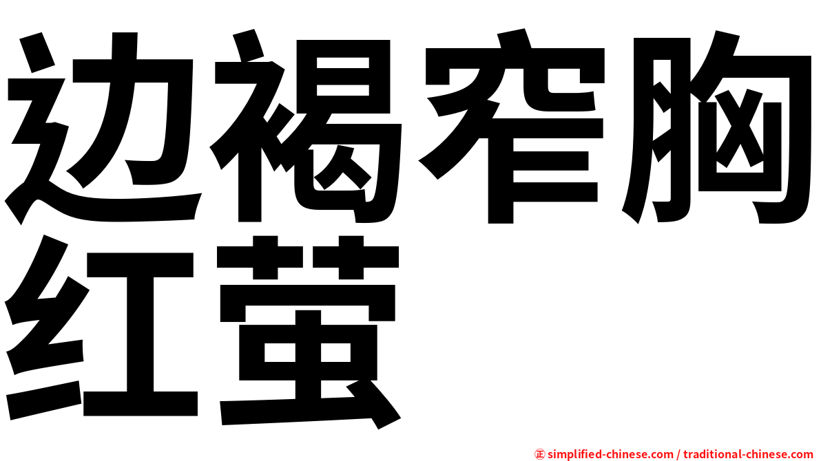 边褐窄胸红萤