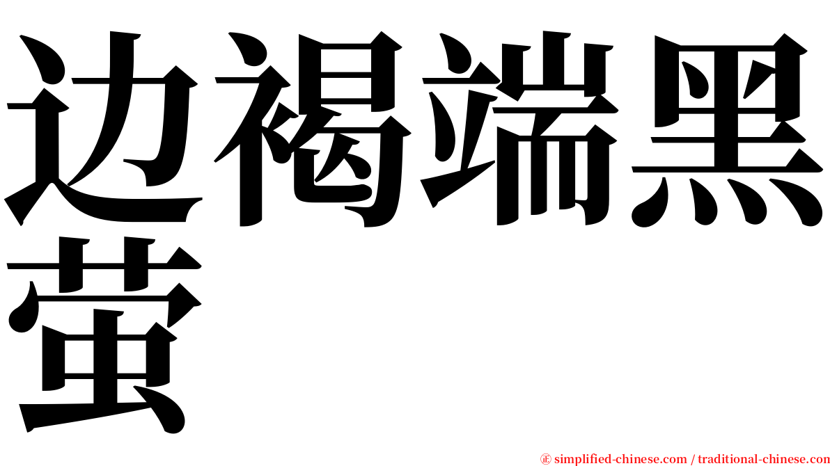 边褐端黑萤 serif font