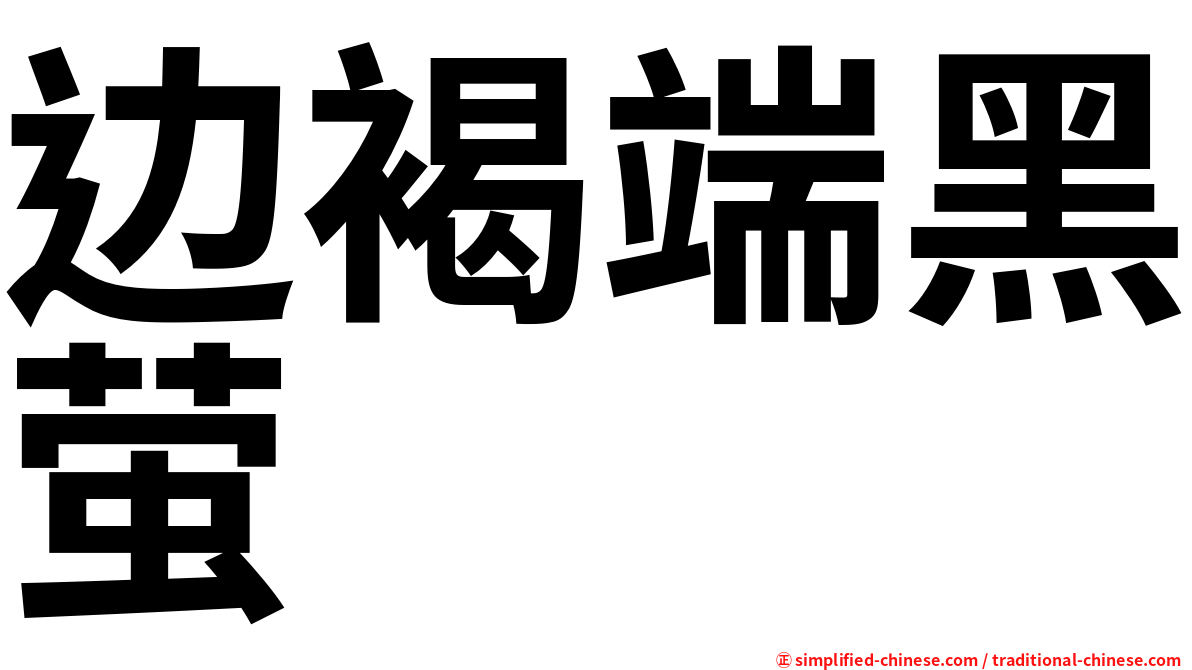边褐端黑萤