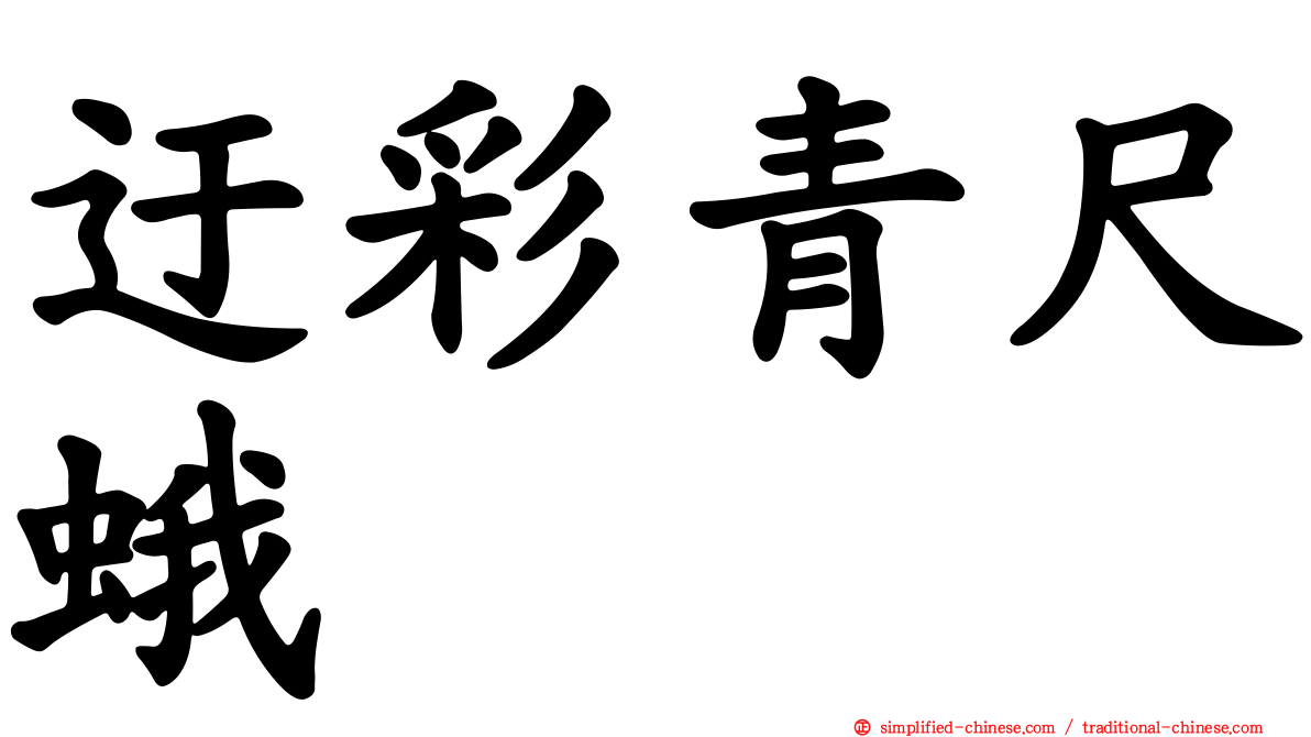 迂彩青尺蛾