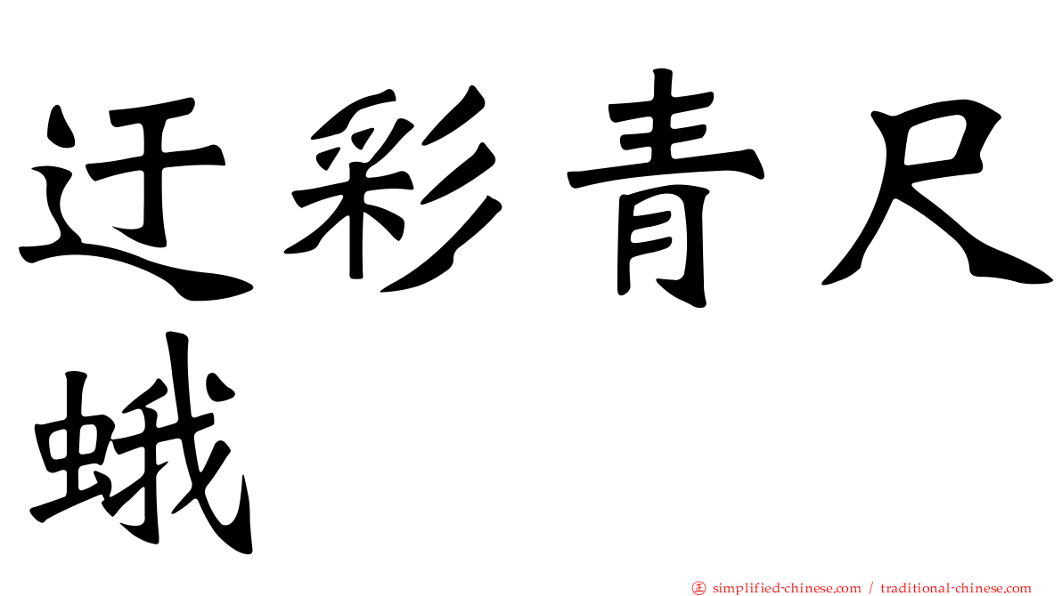 迂彩青尺蛾