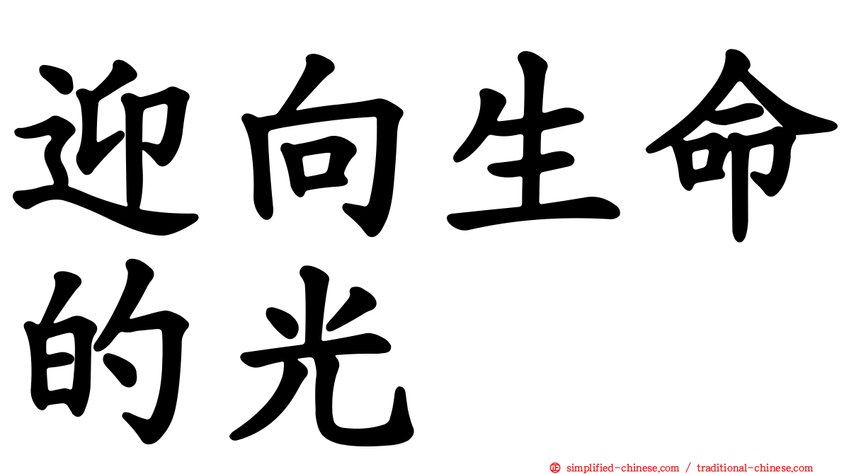 迎向生命的光
