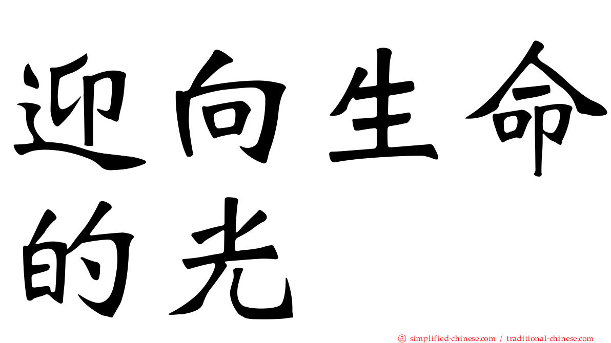 迎向生命的光