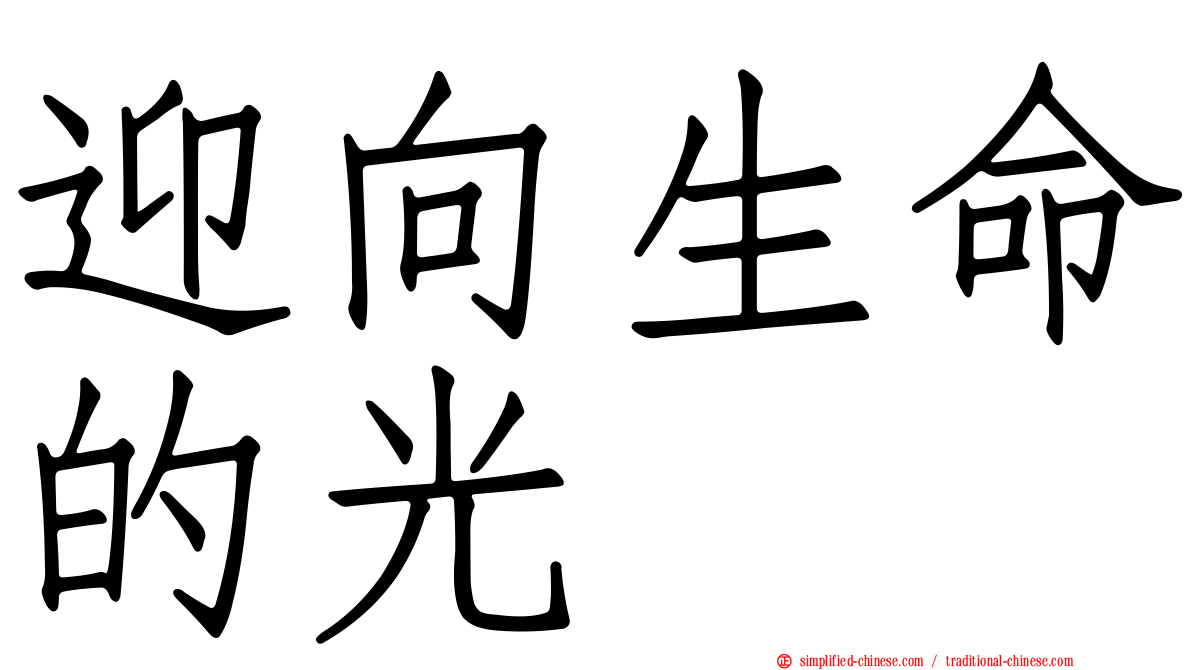 迎向生命的光