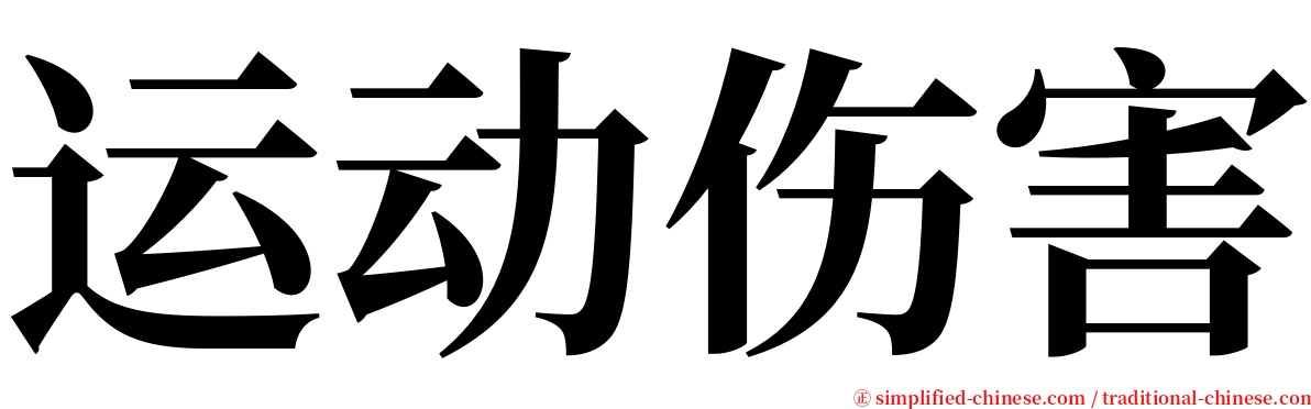 运动伤害 serif font