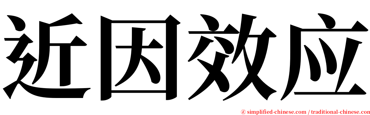近因效应 serif font