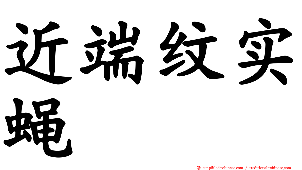 近端纹实蝇