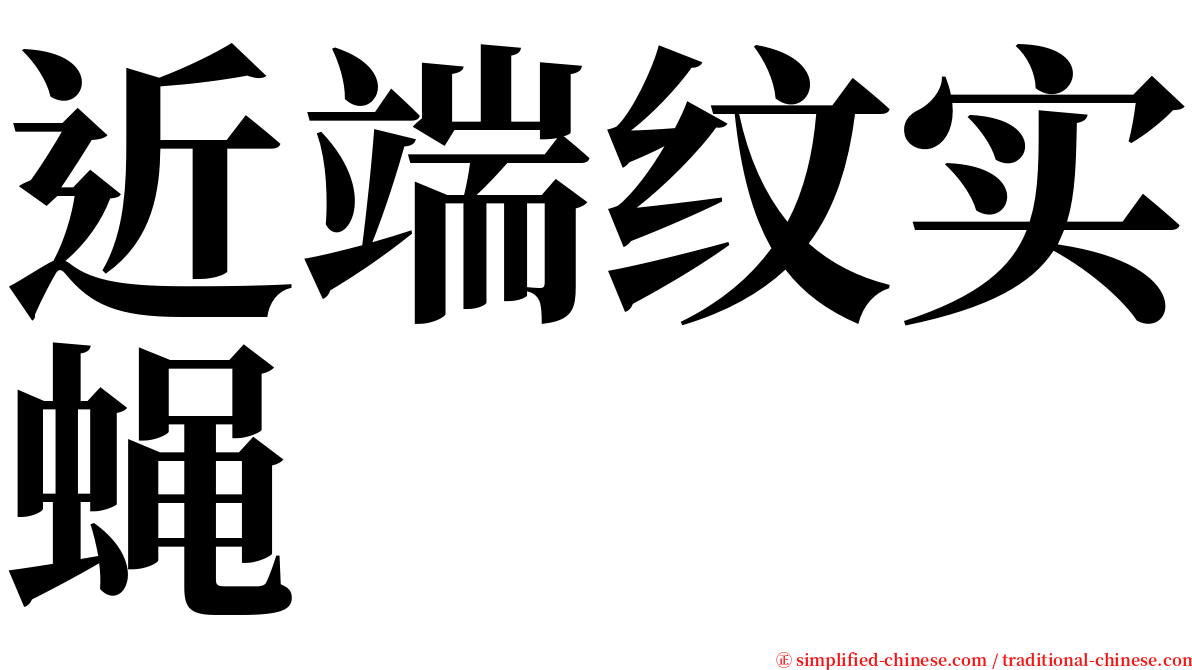 近端纹实蝇 serif font