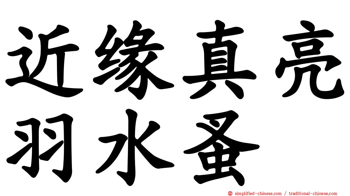 近缘真亮羽水蚤