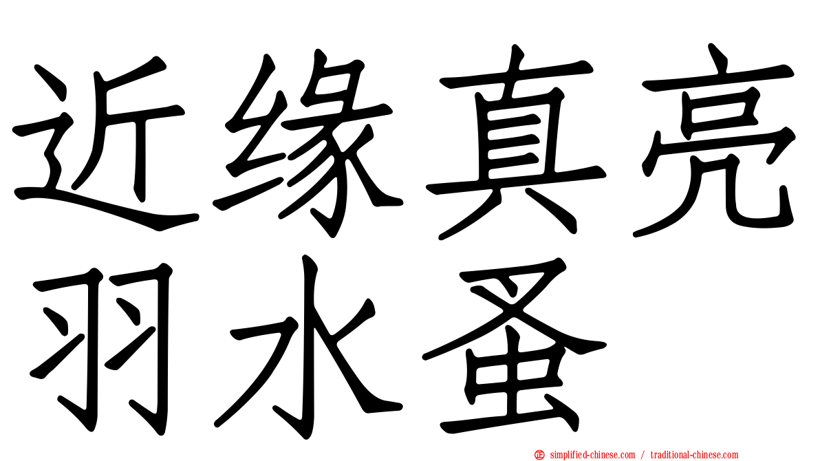 近缘真亮羽水蚤