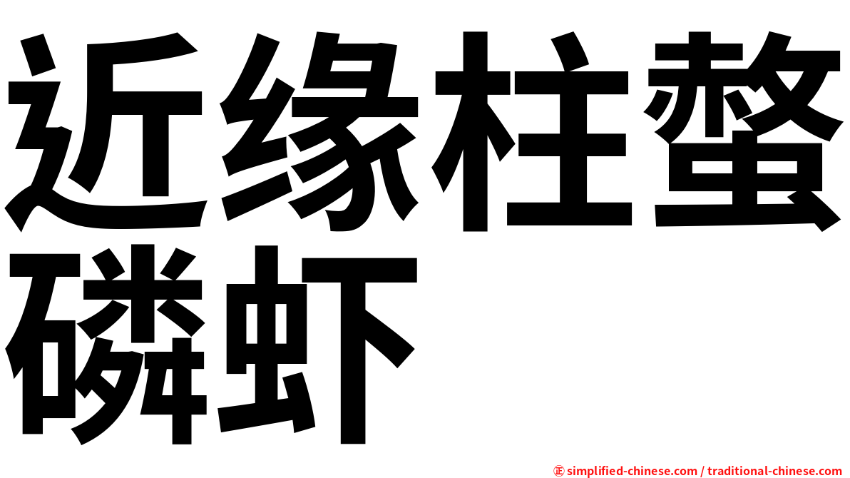 近缘柱螫磷虾