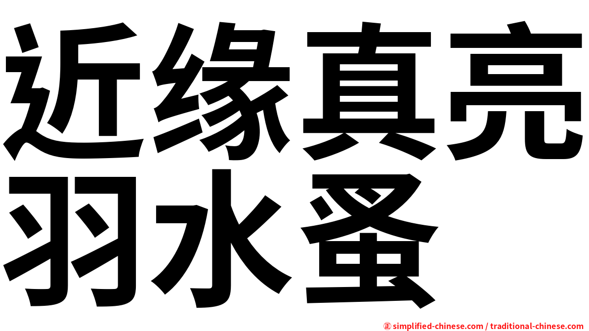 近缘真亮羽水蚤