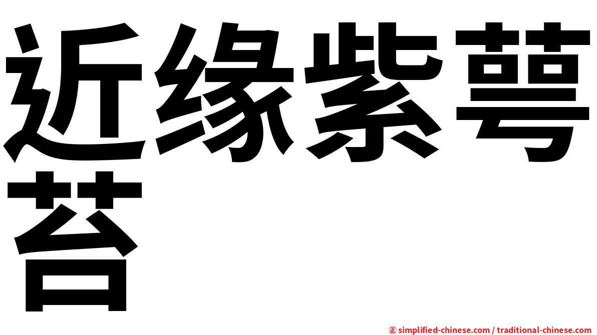 近缘紫萼苔