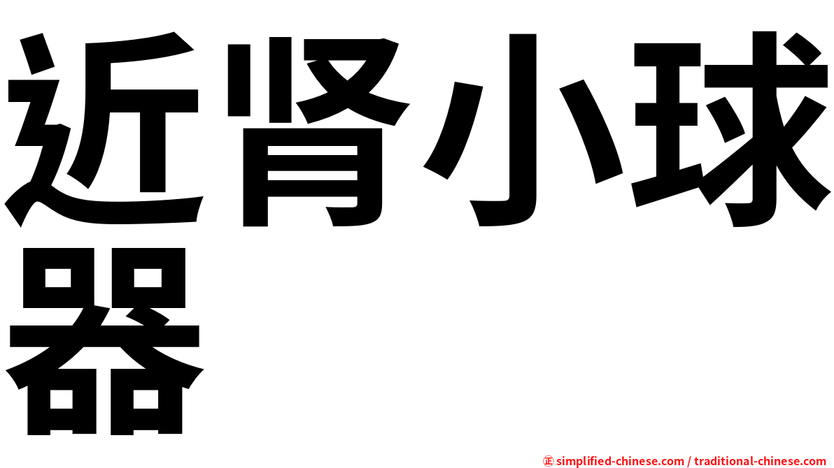 近肾小球器