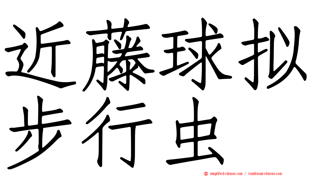 近藤球拟步行虫
