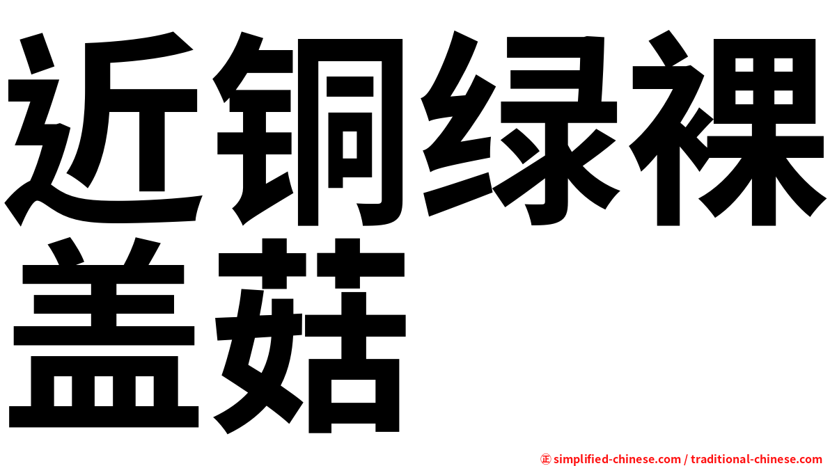 近铜绿裸盖菇